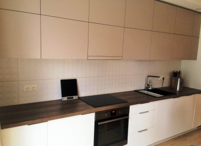 Virtuvės baldai (25)